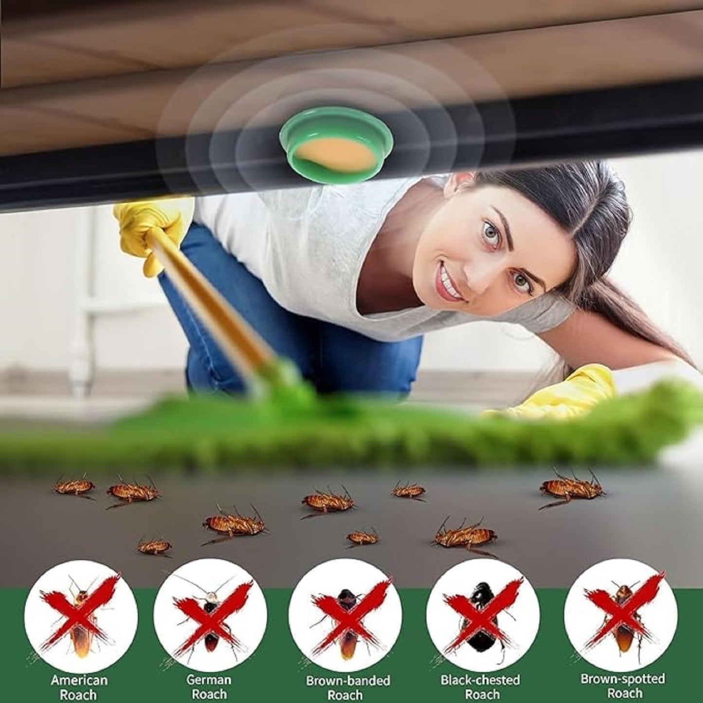 Cockroach Killer Gel (Pack of 24pc)