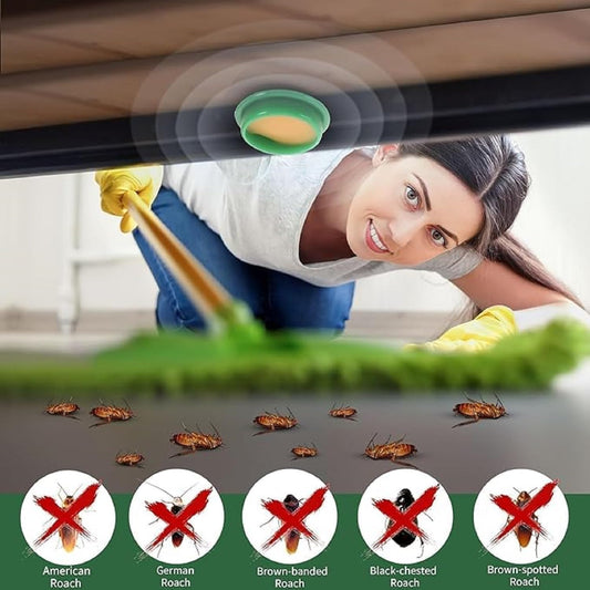 Cockroach Killer Gel (Pack of 24pc)